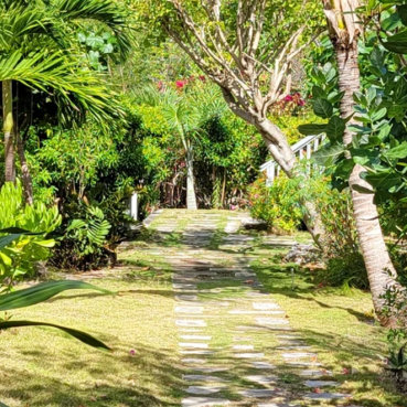 pineapplefields Garden area