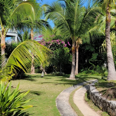 Pineapplefields Garden View