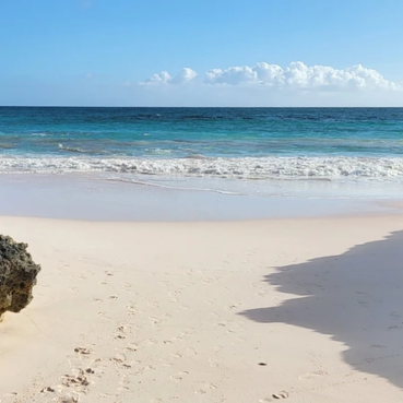 pineapplefields Beach View