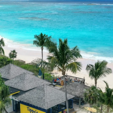 pineapplefields Arial View