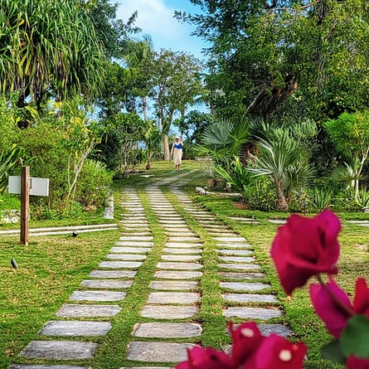 pineapplefields Garden area