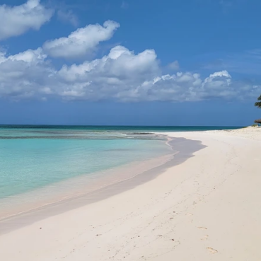 pineapplefields Resort Beach area