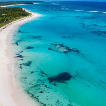 pineapplefields Arial View