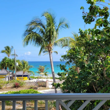 pineapplefields Balcony area