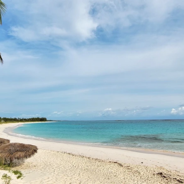 pineapplefields Beach area