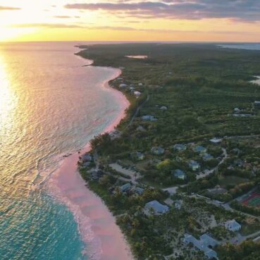 pineapplefields Arial View