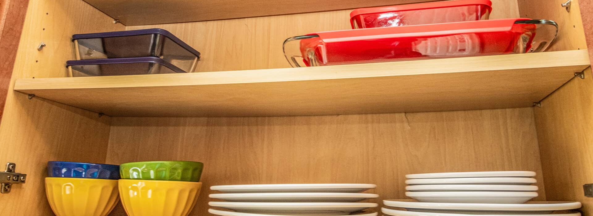 Pineapplefields Disharea